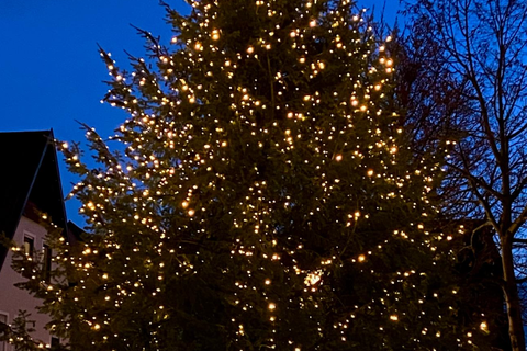 Weihnachtsbaum am Marktplatz Schwaigern