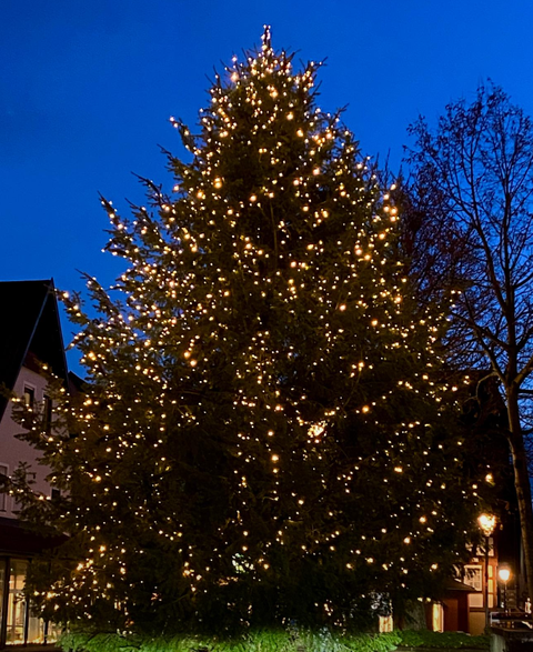 Weihnachtsbaum am Marktplatz Schwaigern