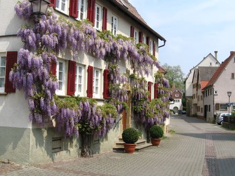Haus Mayer Wassergasse