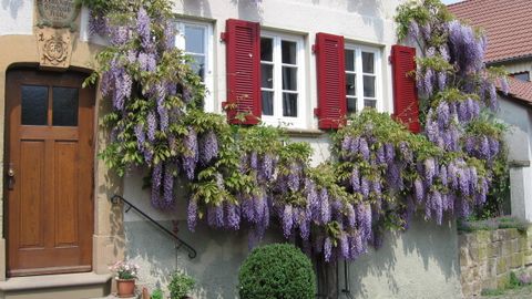 Haus Mayer Wassergasse