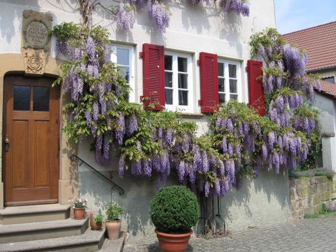 Haus Mayer Wassergasse