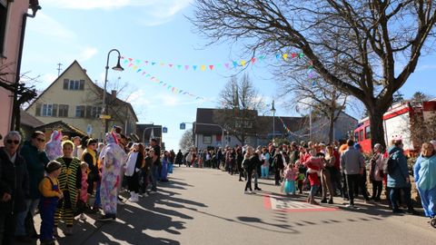 Rosenmontagsumzug Niederhofen 2025