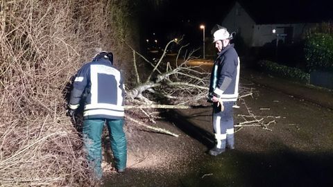 08.01.2015 – Umgestürzter Baum