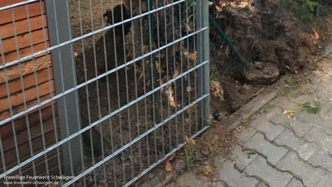 03.01.2018 – Umgestürzter Baum auf der Herewinstrasse