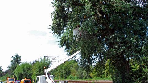 08.08.2018 – Ast stürzt auf die Heilbronner Strasse