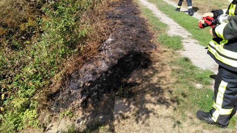 07.09.2018 – Flächenbrand am Brühlbach
