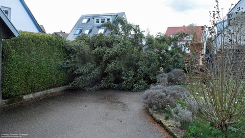 10.03.2019 – Umgestürzter Baum beschädigt Garagendach