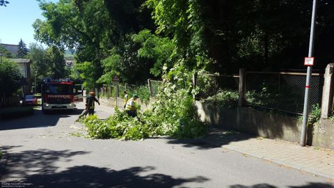29.06.2019 – Abgebrochener Ast auf der Gratstrasse