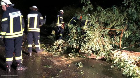 30.09.2019 – Abgebrochener Ast auf der K2160