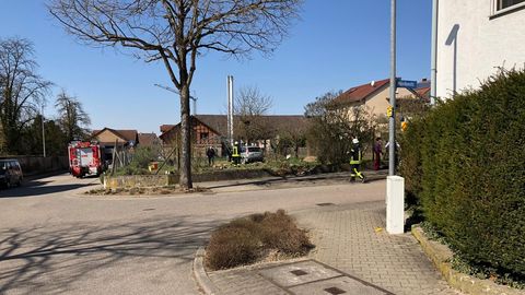 31.03.2021 – Mörikestraße: PKW landet im Garten