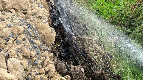 24.07.2024 – Brennendes Gehölz im Eselsberg