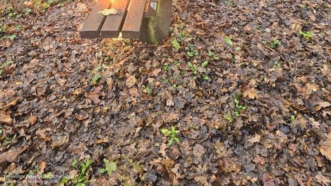07.12.2025 – Parkbank brennt im Bereich "Friedwald"