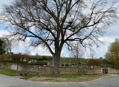 Friedhof Niederhofen