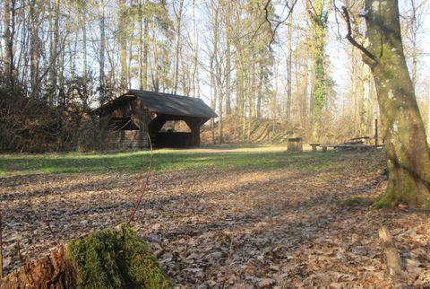 Grillstelle Neuer Berg