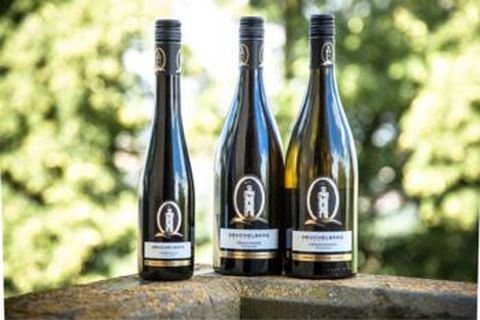 Heuchelberg Weingärtner eG