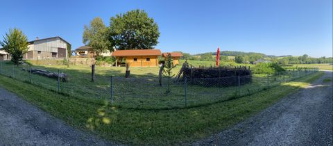 städt. Naturkindergarten "Römerhofkinder"